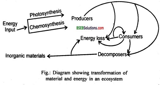 Bihar Board Class 12 Biology Solutions Chapter 14 Ecosystem 8