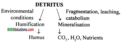 Bihar Board Class 12 Biology Solutions Chapter 14 Ecosystem 9