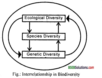 Bihar Board Class 12 Biology Solutions Chapter 15 Biodiversity and Conservation 2