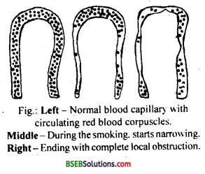 Bihar Board Class 12 Biology Solutions Chapter 8 Human Health and Disease 2