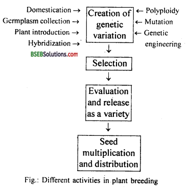 Bihar Board Class 12 Biology Solutions Chapter 9 Strategies for Enhancement in Food Production 1