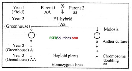 Bihar Board Class 12 Biology Solutions Chapter 9 Strategies for Enhancement in Food Production 4
