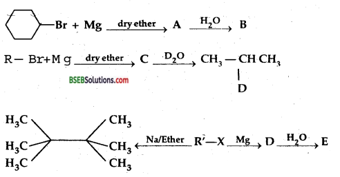 Bihar Board Class 12 Chemistry Solutions Chapter 10 Haloalkanes and Haloarenes 15