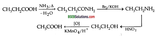 Bihar Board Class 12 Chemistry Solutions Chapter 13 Amines 37
