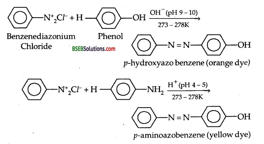 Bihar Board Class 12 Chemistry Solutions Chapter 13 Amines 44