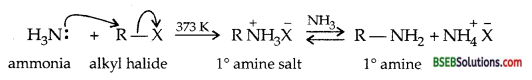 Bihar Board Class 12 Chemistry Solutions Chapter 13 Amines 47