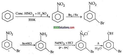 Bihar Board Class 12 Chemistry Solutions Chapter 13 Amines 51