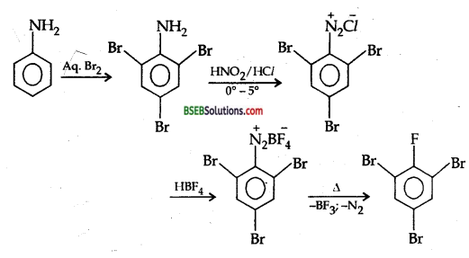 Bihar Board Class 12 Chemistry Solutions Chapter 13 Amines 53