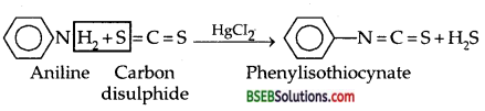 Bihar Board Class 12 Chemistry Solutions Chapter 13 Amines 74