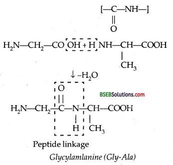 Bihar Board Class 12 Chemistry Solutions Chapter 14 Biomolecules 12