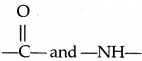 Bihar Board Class 12 Chemistry Solutions Chapter 14 Biomolecules 13