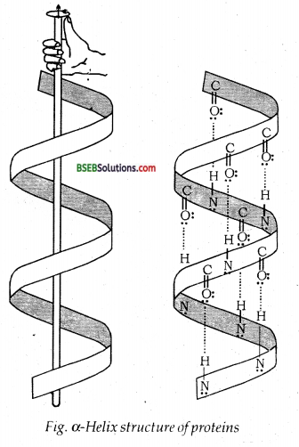 Bihar Board Class 12 Chemistry Solutions Chapter 14 Biomolecules 14