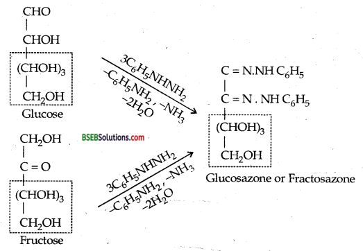 Bihar Board Class 12 Chemistry Solutions Chapter 14 Biomolecules 19