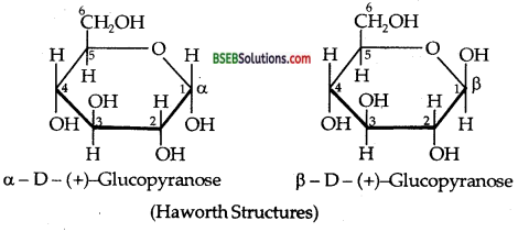 Bihar Board Class 12 Chemistry Solutions Chapter 14 Biomolecules 20