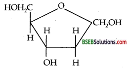 Bihar Board Class 12 Chemistry Solutions Chapter 14 Biomolecules 22