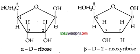 Bihar Board Class 12 Chemistry Solutions Chapter 14 Biomolecules 24