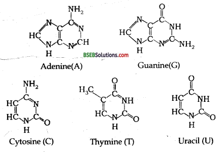 Bihar Board Class 12 Chemistry Solutions Chapter 14 Biomolecules 25