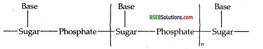 Bihar Board Class 12 Chemistry Solutions Chapter 14 Biomolecules 28
