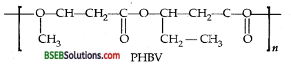 Bihar Board Class 12 Chemistry Solutions Chapter 15 Polymers 11