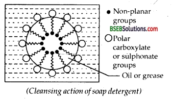 Bihar Board Class 12 Chemistry Solutions Chapter 16 Chemistry in Everyday Life 10