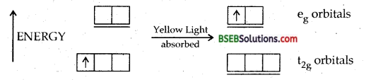 Bihar Board Class 12 Chemistry Solutions Chapter 9 Coordination Compounds 62