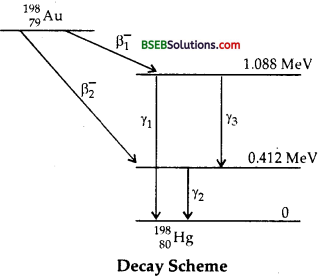 Bihar Board Class 12th Physics Solutions Chapter 13 Nuclei - 92