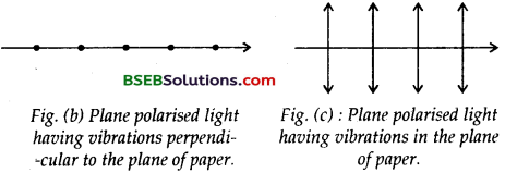 Bihar Board Class 12th Physics Solutions Chapter 10 Wave Optics 19