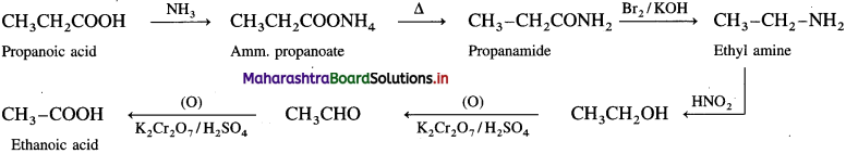 Maharashtra Board Class 12 Chemistry Solutions Chapter 13 Amines 197