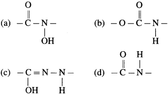 Maharashtra Board Class 12 Chemistry Solutions Chapter 14 Biomolecules 109