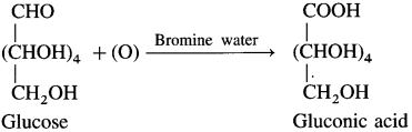 Maharashtra Board Class 12 Chemistry Solutions Chapter 14 Biomolecules 11