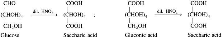 Maharashtra Board Class 12 Chemistry Solutions Chapter 14 Biomolecules 12