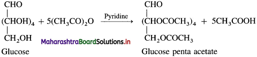 Maharashtra Board Class 12 Chemistry Solutions Chapter 14 Biomolecules 13