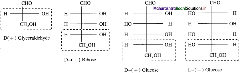 Maharashtra Board Class 12 Chemistry Solutions Chapter 14 Biomolecules 19