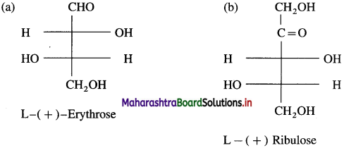 Maharashtra Board Class 12 Chemistry Solutions Chapter 14 Biomolecules 23