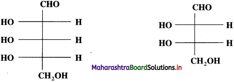 Maharashtra Board Class 12 Chemistry Solutions Chapter 14 Biomolecules 24