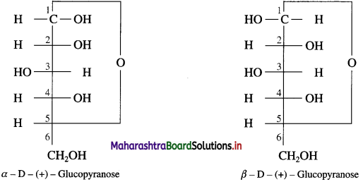 Maharashtra Board Class 12 Chemistry Solutions Chapter 14 Biomolecules 29