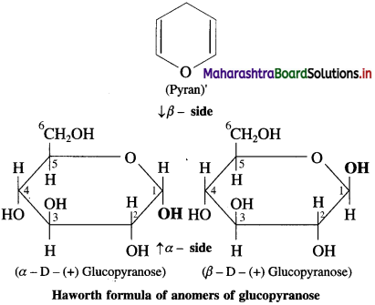 Maharashtra Board Class 12 Chemistry Solutions Chapter 14 Biomolecules 30