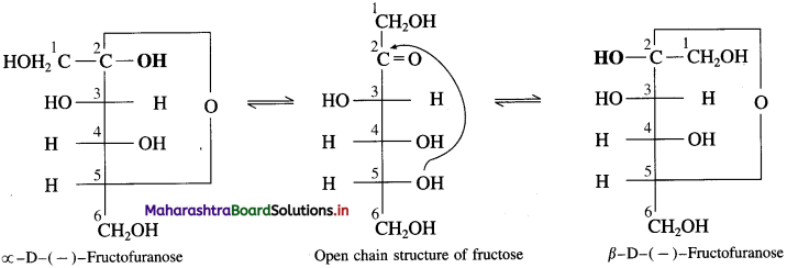 Maharashtra Board Class 12 Chemistry Solutions Chapter 14 Biomolecules 34