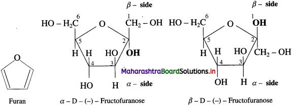 Maharashtra Board Class 12 Chemistry Solutions Chapter 14 Biomolecules 35