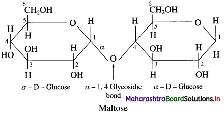 Maharashtra Board Class 12 Chemistry Solutions Chapter 14 Biomolecules 38