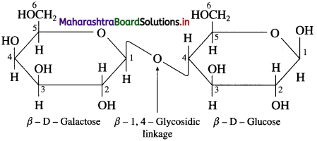 Maharashtra Board Class 12 Chemistry Solutions Chapter 14 Biomolecules 39