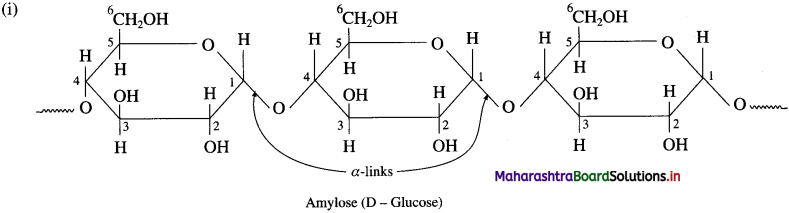 Maharashtra Board Class 12 Chemistry Solutions Chapter 14 Biomolecules 43