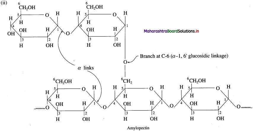 Maharashtra Board Class 12 Chemistry Solutions Chapter 14 Biomolecules 44