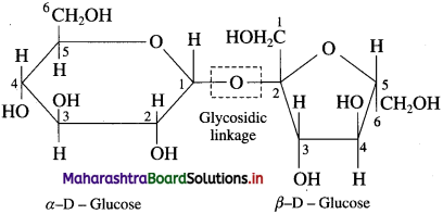 Maharashtra Board Class 12 Chemistry Solutions Chapter 14 Biomolecules 46