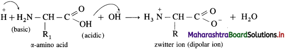 Maharashtra Board Class 12 Chemistry Solutions Chapter 14 Biomolecules 53