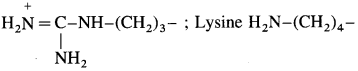 Maharashtra Board Class 12 Chemistry Solutions Chapter 14 Biomolecules 55