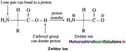 Maharashtra Board Class 12 Chemistry Solutions Chapter 14 Biomolecules 61