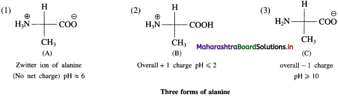 Maharashtra Board Class 12 Chemistry Solutions Chapter 14 Biomolecules 62