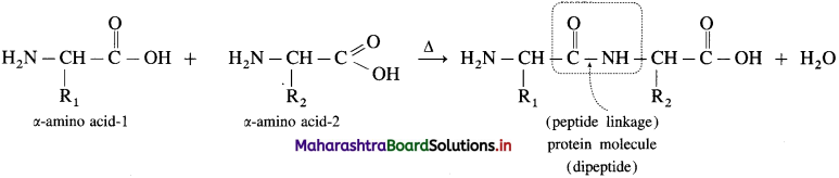 Maharashtra Board Class 12 Chemistry Solutions Chapter 14 Biomolecules 64