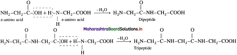 Maharashtra Board Class 12 Chemistry Solutions Chapter 14 Biomolecules 65